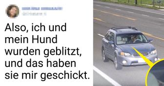 17 Fotos, die die wahre Natur von Tieren offenbaren