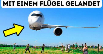Flugzeug Landete Mit Nur Einem Flügel