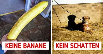 15 Bilder, die zeigen, dass nicht alles so ist, wie es scheint