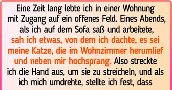 18 Häuser, die von wilden Tieren übernommen wurden, im Stil von “George — der aus dem Dschungel kam”