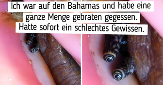 19 Menschen, deren Leben nach dem Urlaub nie mehr dasselbe sein wird