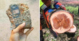 28 unerwartete Funde, die eine Million Fragen aufwerfen