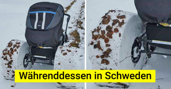 17 Pechvögel, die sich ihren Tag sicher anders vorgestellt hatten