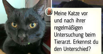 16 Fotos, die als Argument dafür dienen, dass Haustiere die niedlichsten Patienten sind