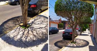 19 Kunstwerke der Natur, die uns Gänsehaut bereiten