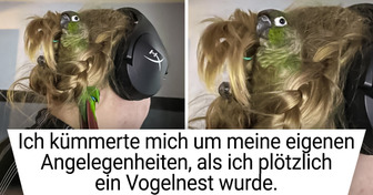 12+ Haustiere, die dich keine Minute langweilen!