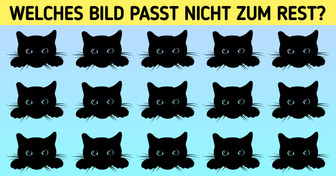 Test: Finde den Ausreißer in weniger als 10 Minuten