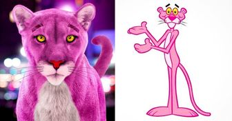 Dieser Künstler hat die Zeichentrickfiguren aus unserer Kindheit als reale Wesen illustriert