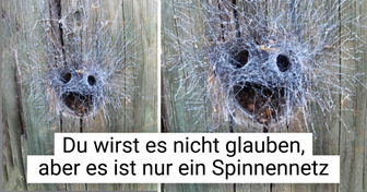 17 unerwartete Funde, die sich für Hausbesitzer als echte Überraschung entpuppten