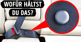 Der seltsame Knopf am Sicherheitsgurt und 25 Dinge mit verstecktem Sinn