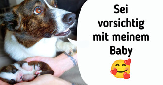 20 Fotos, die zeigen, dass wahre Liebe in allen Formen und Größen vorkommt