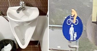 16 Male, in denen Menschen einfach jede Kreativität übertrafen