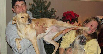 15 Haustiere mit Liebesmangel, die immer mehr Aufmerksamkeit verlangen