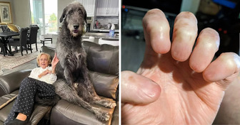 17 Spektakel, die man nicht alle Tage zu sehen bekommt