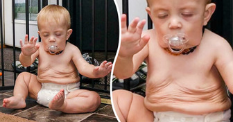 15+ Situationen, in denen unsere Augen uns getäuscht haben