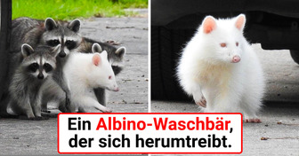 17 Mal hat Mutter Natur beschlossen, kreativ zu sein