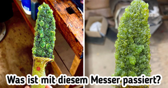 14 Bilder, die uns neugierig darauf machen, die Geschichte dahinter zu hören