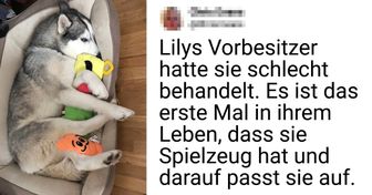 20+ Tiere, die nichts mehr erwartet hatten, aber vom Leben überrascht wurden