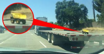 18 Personen haben Fotos von Zufällen und seltsamen Dingen geteilt, die ihnen an einem bestimmten Tag begegnet sind