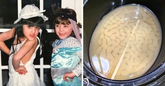 14 Verwirrende Fotos, die uns innehalten und näher hinschauen ließen