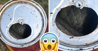 16 zufällige Entdeckungen, die die Menschen sprachlos machten