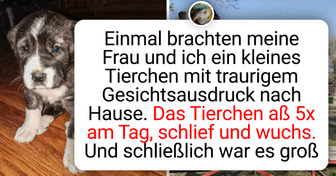 20+ Fotos, die Entwicklung besser zeigen, als jede Beschreibung es könnte