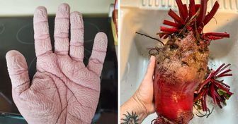 20 Fotos, die zeigen, dass die Natur etwas Erstaunliches für uns bereithält