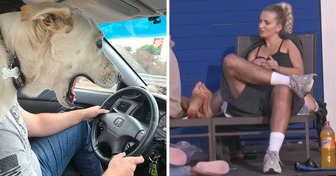 15+ Fotos, die im absolut perfekten Moment aufgenommen wurden