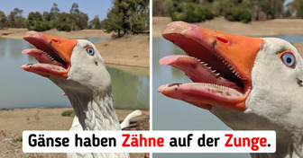 15 Menschen, die auf etwas gestoßen sind, das man nur selten zu Gesicht bekommt