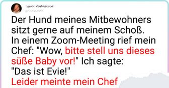 15+ Tweets aus dem wahren Leben, die uns zum Schmunzeln bringen