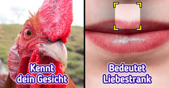 Eine Frau hat gefragt: “Was ist der merkwürdigste Fakt, den ihr kennt?” und hier sind 13 Antworten, mit denen du wohl nicht gerechnet hättest