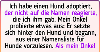 25+ Haustierbesitzer, die auf Namenssuche für ihre flauschigen Freunde gehen mussten
