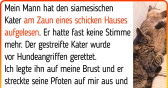 20+ Tiere, die fast die Hoffnung verloren, aber dann ihren geliebten Besitzer fanden