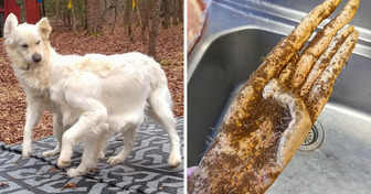 16 Situationen, in denen uns unsere Fantasie einen Streich gespielt hat