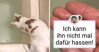 16 Fotos, auf denen sich ein Drama anbahnt