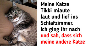 18 verantwortungsvolle Haustiere mit den größten Herzen der Welt