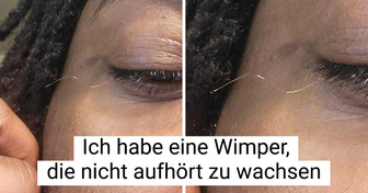 15 Fotos, die bei längerem Hinsehen immer absurder werden