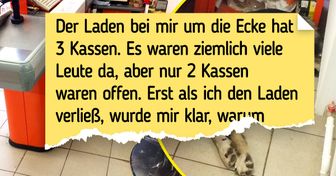 15 zufällig entstandene Fotos, die die Herzen der Menschen berührt haben