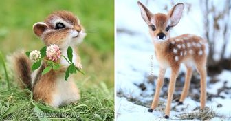 Die Künstlerin fertigt Tierspielzeug an, das jeden beim ersten Anblick verzaubert