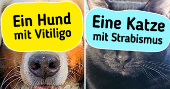 18 Haustiere mit extravaganten Eigenschaften, die Harry Potters Narbe in den Schatten stellen