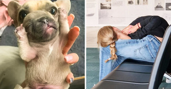 20 rätselhafte Fotos, die unser Gehirn zum Glühen bringen