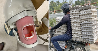 15 erstaunliche Bilder, bei deren Anblick man nur überrascht die Stirn runzeln kann