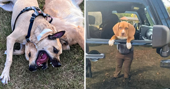 7 verwirrende Bilder, die deine Wahrnehmung herausfordern