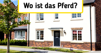 17 Suchbilder, die dein scharfes Auge herausfordern