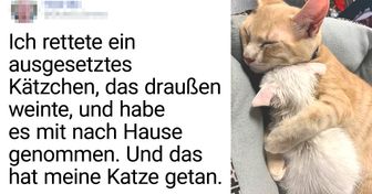 20 Haustiere, die genügend Liebe für die ganze Welt haben
