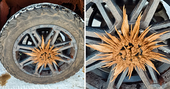 19 Mal hat die Natur den Schlüssel zur Erschaffung ungewöhnlicher Objekte geliefert