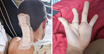 Mit der Kamera eingefangen: 15 Bilder zum Staunen und Unterhalten