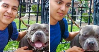 16 Situationen, in denen etwas furchtbar schief ging