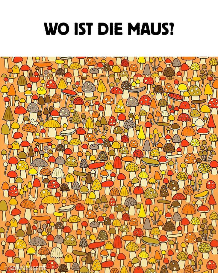 16 visuelle Rätsel, bei denen Sherlock sein Monokel bräuchte