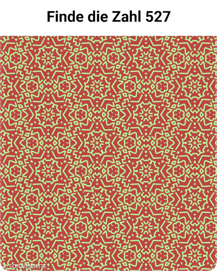 Test: Stell dich selbst auf die Probe und löse diese 12 visuellen Rätsel so schnell wie möglich